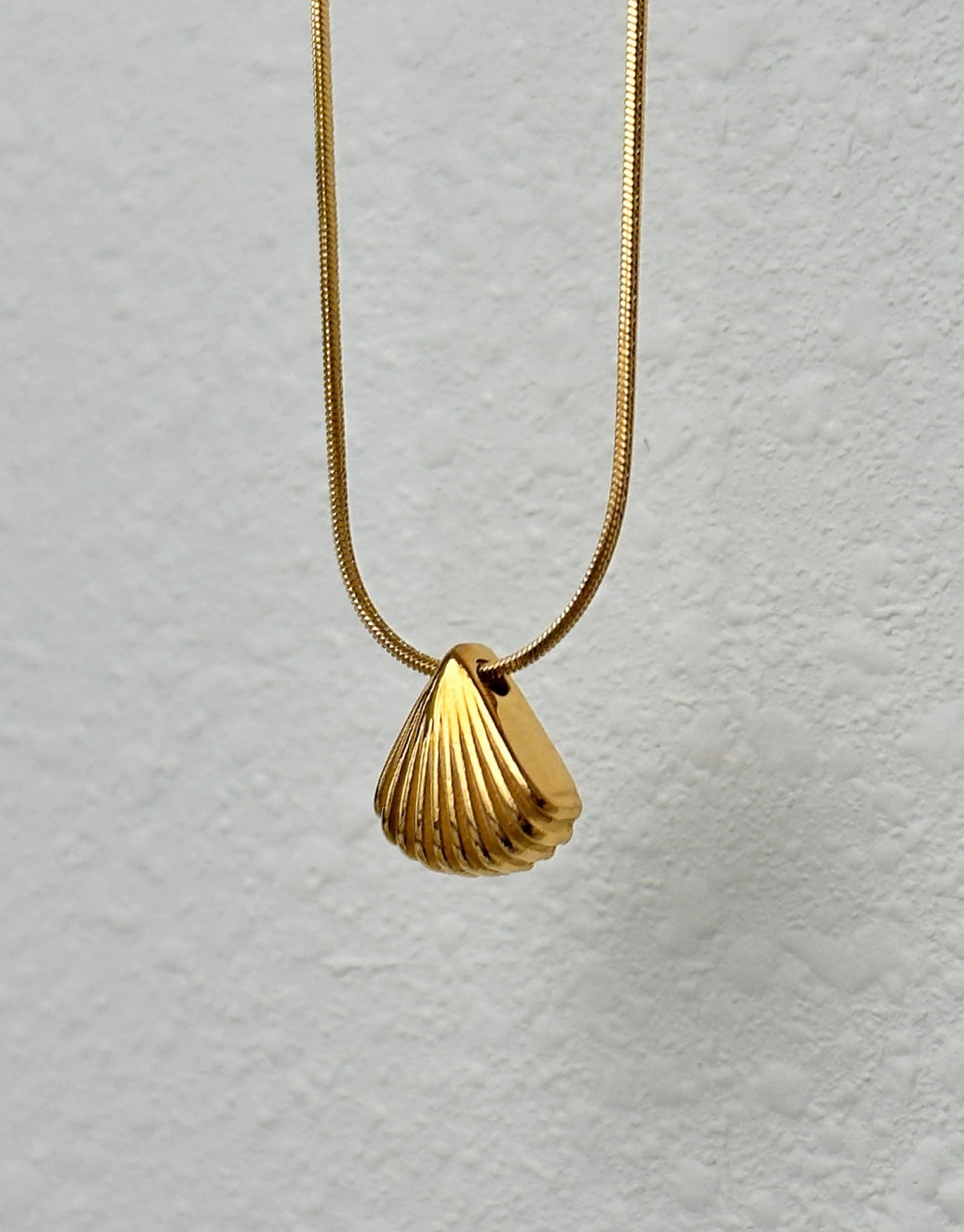 Seashell Necklace